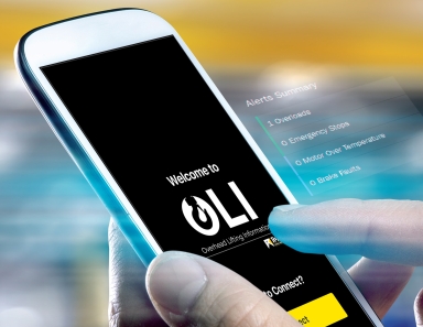 R&M Materials Handling OLI app utilized by Wolverine Crane & Service